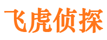 镜湖外遇调查取证